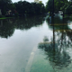 A picture sent to us by Amouranth. She says that this area is a couple of miles from her home.